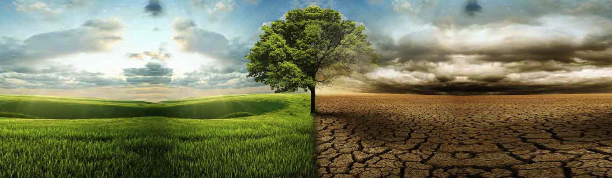 sustentabilidade-04 Security Seals and Security Bags is ELC