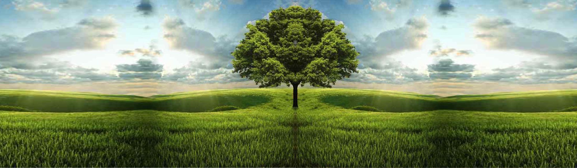 sustentabilidade-05 Security Seals and Security Bags is ELC